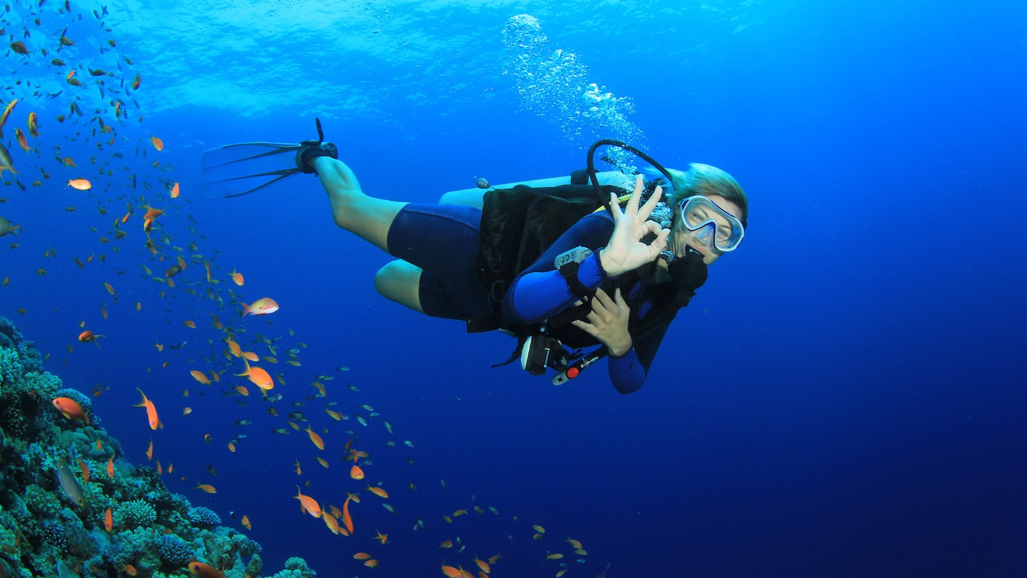 Enroll for Scuba Diving Hand Signals Course Online